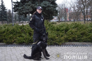 Полицейский пес разыскал пропавшего человека