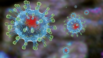 В ВОЗ ожидают появление новых штаммов коронавируса COVID-19