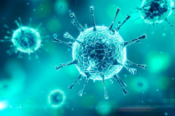 В США обнаружили два новых штамма коронавируса