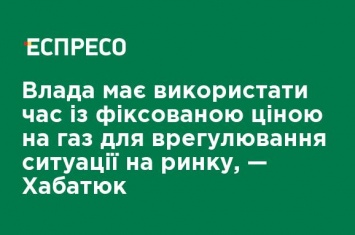 Власти должны использовать время с фиксированной ценой на газ для урегулирования ситуации на рынке, - Хабатюк