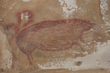 Индонезийские археологи обнаружили рисунок свиньи, возраст которого превышает 45 тысячи лет