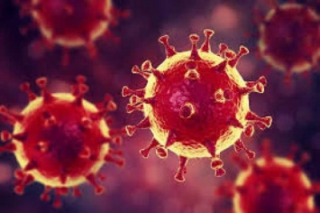Эксперты объяснили, может ли коронавирус быть биологическим оружием