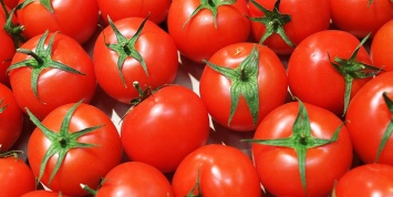 Россия ввела запрет на ввоз перцев и томатов из Казахстана