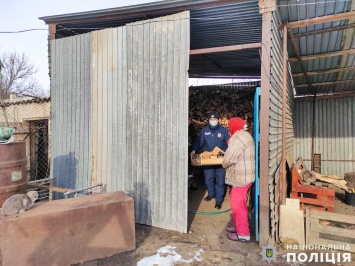 Николаевская полиция пошла в народ - рубит дрова бабушкам и убирает снег во дворах одиноких стариков (ФОТО)
