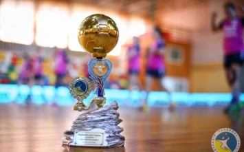 В 1/8 финала кубка Украины про гандболу состоится николаевское дерби