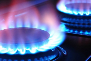 Как реально снизить цены на газ? Для начала у олигархов нужно забрать газовые сети
