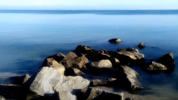 Море в зимней Кирилловке: тишина, солнце и красота (видео)