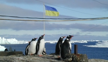 Украинские полярники сняли «Антарктические уроки»