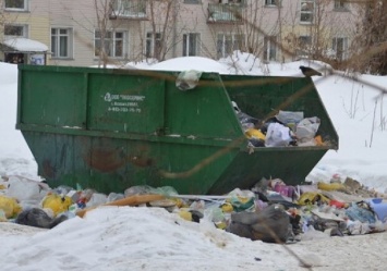 Удаленка затянулась: на Бабурке дети рылись в мусорном баке (видео)