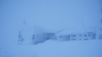 В Карпатах выпало 96 сантиметров снега: синоптики предупредили об опасности (фото)