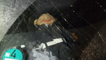 Пьяное ДТП в Киеве: водитель протаранил машину с маленьким ребенком в салоне, видео, фото
