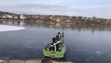 На Одесчине спасатели помогли взлететь стае лебедей, которые вмерзли в лед пруда