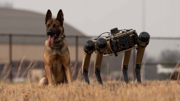 На авиабазах США "робособаки" Ghost Robotics тренируются вместе со служебными собаками
