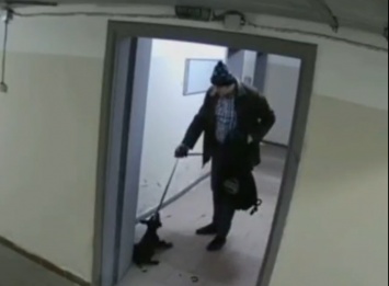 Садисты среди нас: в Киеве мужчина ногами избил щенка и выбросил его на улицу, ВИДЕО