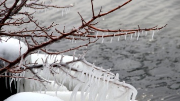 Погода на 19 января: в Никополе будет ясно и без осадков