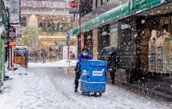 В Японии более 60 человек погибли при уборке снега