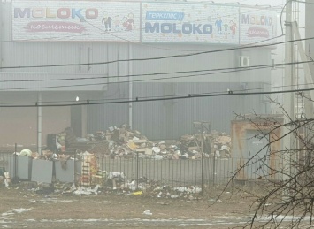 Царство крыс: в «ДНР» территорию крупнейшего супермаркета превратили в помойку (фото)