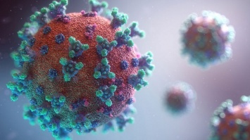 "Британский" штамм коронавируса уже обнаружили в 60 странах