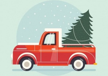 Смотри расписание "елочного грузовика": Экопарк собирает для животных ненужные новогодние елки