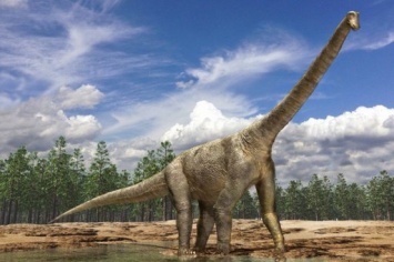В Аргентине нашли останки 98-летнего титанозавра: Он мог быть самым большим животным Земли