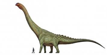 В Аргентине обнаружили останки крупнейшего сухопутного динозавра