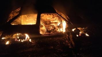 У мужчин, которые незаконно рубили лес в Одесской области, сгорела машина