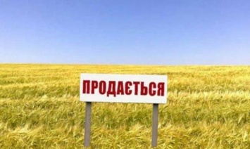 За шаг до рынка земли: сколько будет стоить гектар угодий в Запорожской области