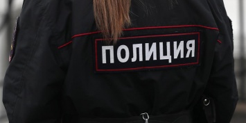 В СПЧ назвали корректными действия полицейских на несанкционированной акции в Москве