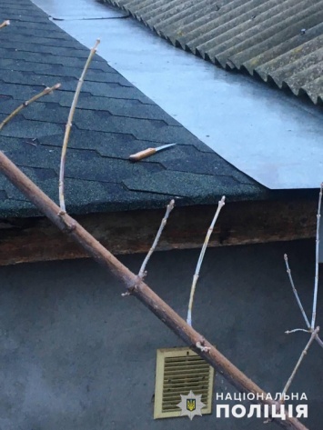 Орудие преступления убийца забросил на крышу дома в центральной части Николаева. Фото