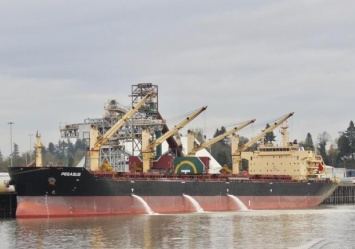 В Одесском порту на судне умер моряк: что об этом известно