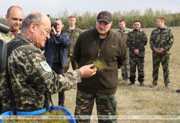 В Беларуси внезапно объявили проверку боевой готовности армии