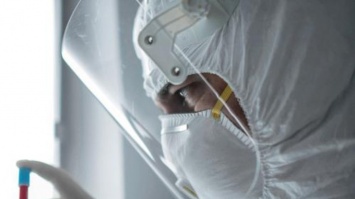В Украине впервые зафиксировали случай хантавируса
