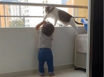 Когда ребенка вместо няни можно доверить кошке (ВИДЕО)