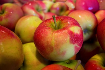 Яблоки признали ключом к долголетию
