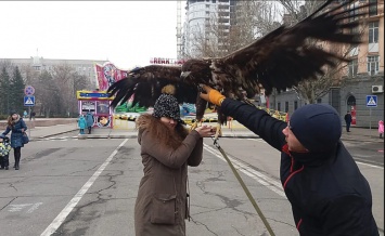 В центре Николаеве зарабатывают на фото с краснокнижными птицами - директор зоопарка возмутился ситуацией, - ФОТО