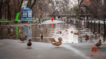 В Днепре вода снова вышла из озера и затопила парк Глобы