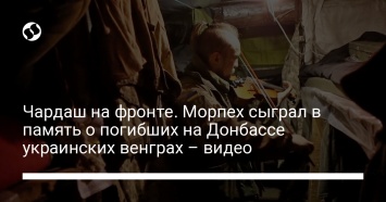 Чардаш на фронте. Морпех сыграл в память о погибших на Донбассе украинских венграх - видео