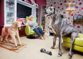 В Великобритании умерла самая высокая собака в мире