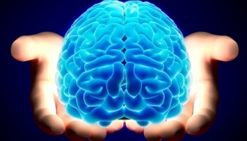 В Корее создали конкурента мозговому импланту от Neuralink Илона Маска