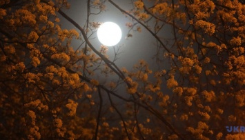 Фазы Луны влияют на продолжительность и качество сна