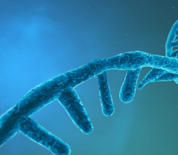 Искусственный интеллект помог распознать остатки РНК древних вирусов в геноме человека