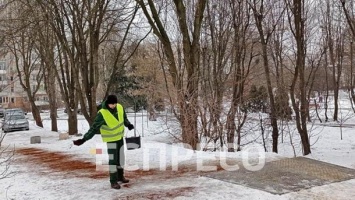 Кофейная гуща против гололеда: во Львове начали бороться с обледенением