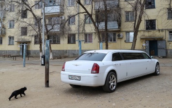 В Казахстане водителям разрешили ездить без прав