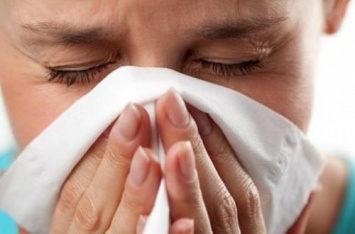 Семь самых распространенных мифов об аллергии