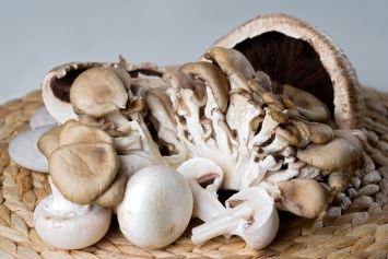 Ученые назвали вескую причину есть больше грибов