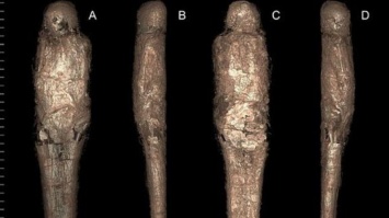 Ученые разгадали загадку древней египетской мумии