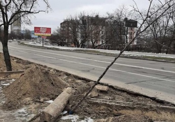 Проложили кабель: на Радужном работники ДТЭК повредили новые деревья