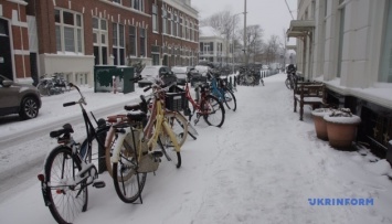 В Нидерландах в результате снегопада отменены десятки авиарейсов, остановились поезда