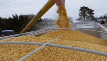 Украина может получить рекордную выручку од экспорта зерна при меньших поставках -эксперт