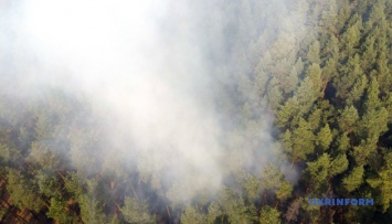 Объявили подозрение работникам ДСНС - тушили пожар в Луганской области только «на бумаге»